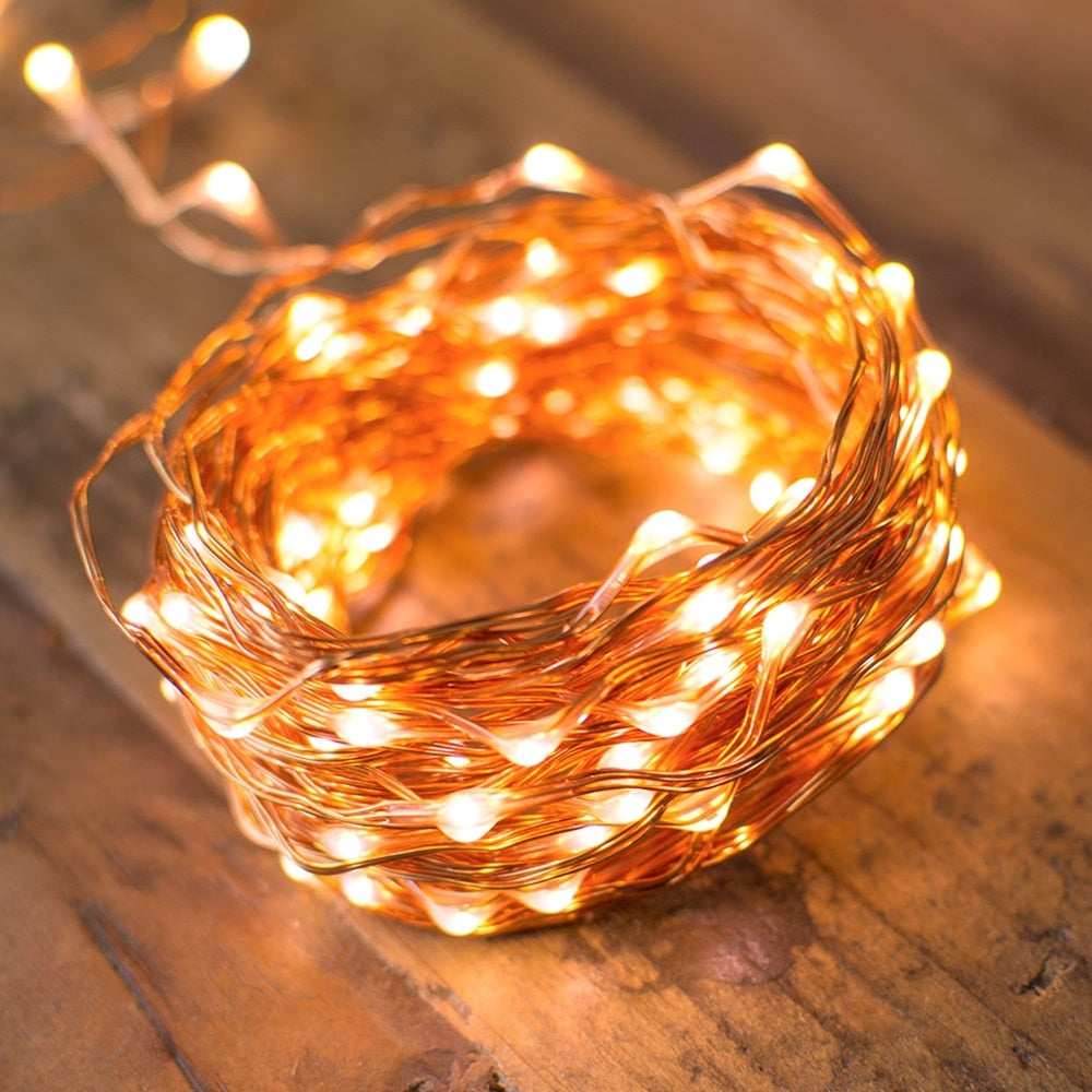 LEDs Copper Wire Fairy String Lights Waterproof Plug-In Adapter for Outdoor /Indoor Decoration