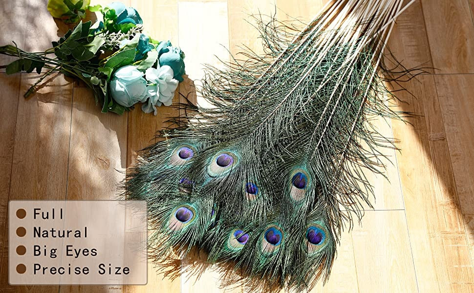 Natural Peacock Feathers 10 Pcs