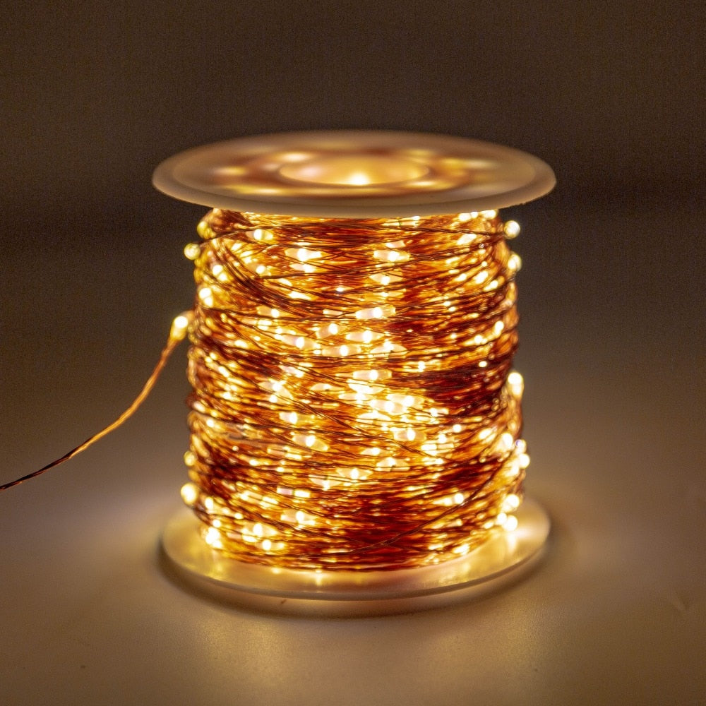 LEDs Copper Wire Fairy String Lights Waterproof Plug-In Adapter for Outdoor /Indoor Decoration