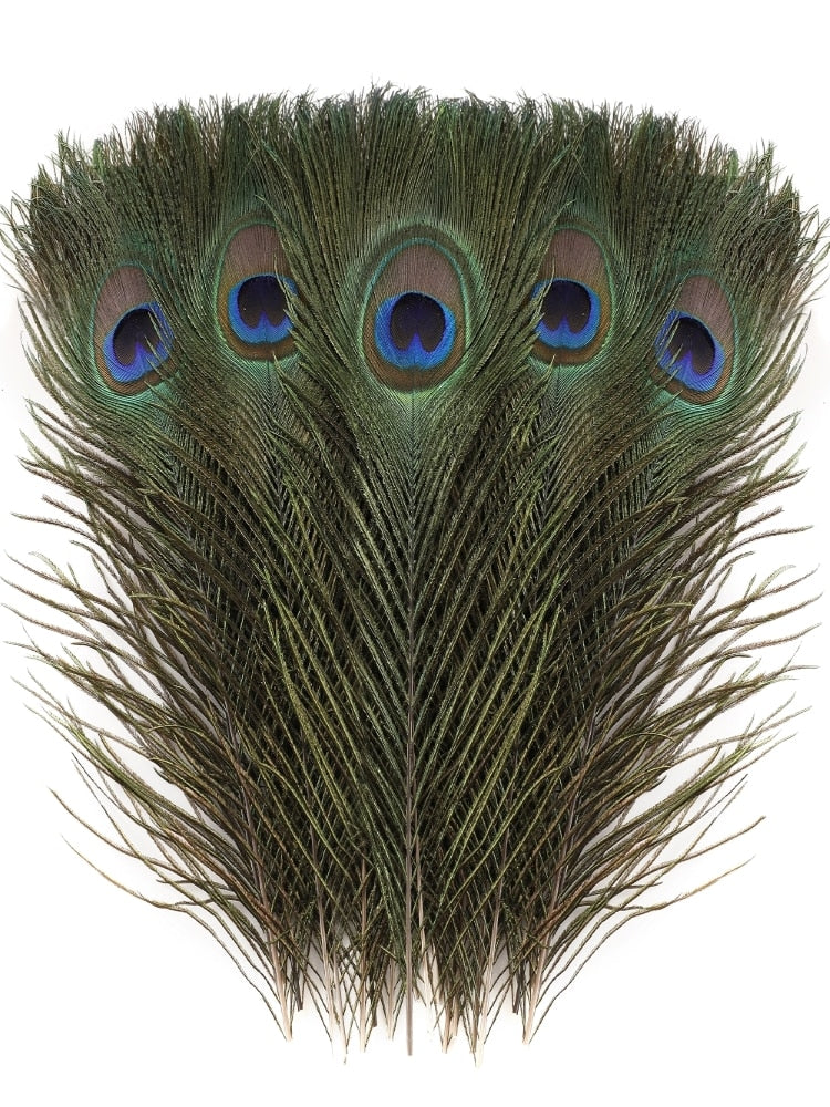 Natural Peacock Feathers 10 Pcs